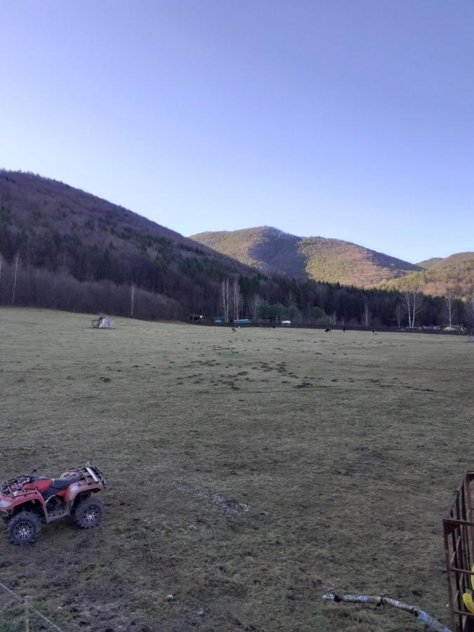 Pensiunea Natura Sadu Sibiu Luaran gambar