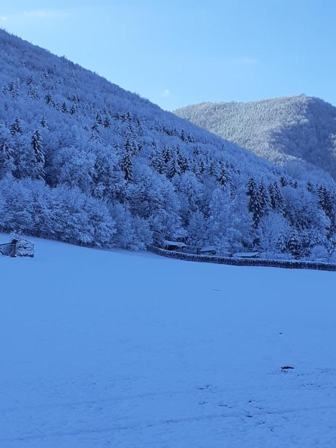 Pensiunea Natura Sadu Sibiu Luaran gambar