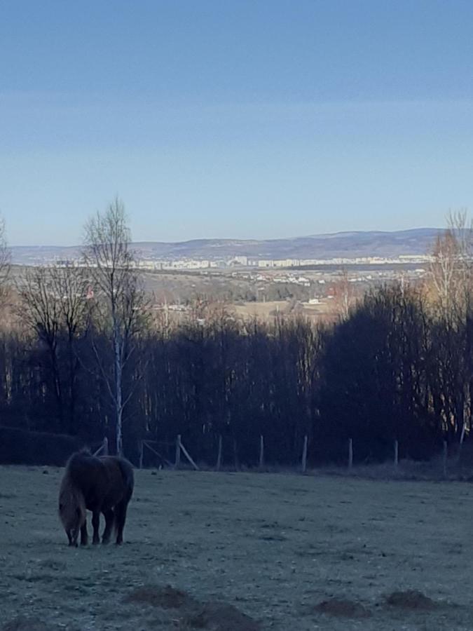 Pensiunea Natura Sadu Sibiu Luaran gambar