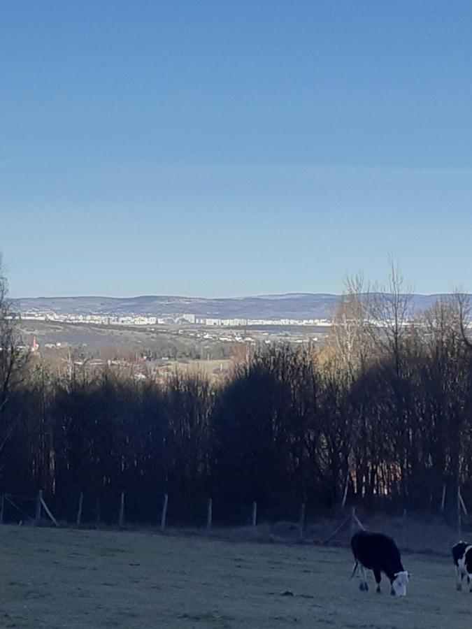 Pensiunea Natura Sadu Sibiu Luaran gambar