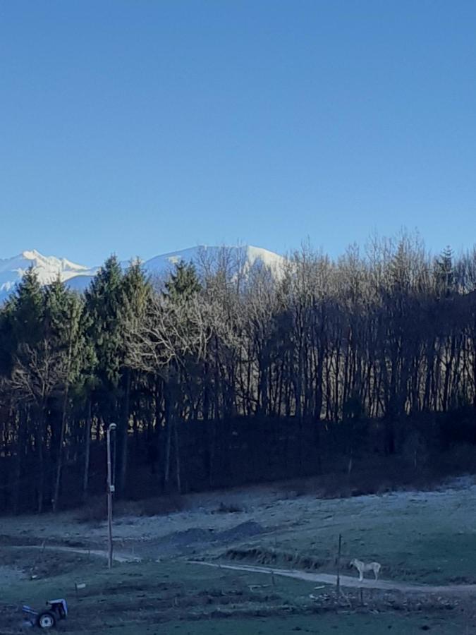 Pensiunea Natura Sadu Sibiu Luaran gambar