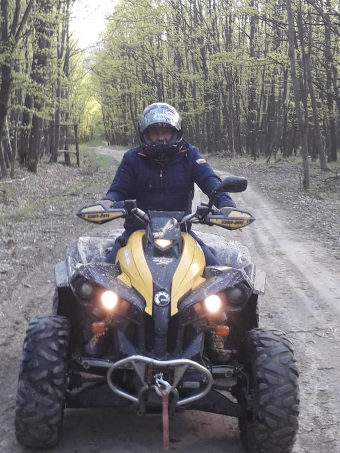 Pensiunea Natura Sadu Sibiu Luaran gambar