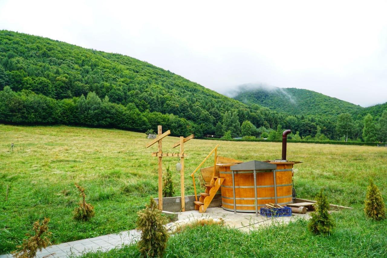 Pensiunea Natura Sadu Sibiu Luaran gambar