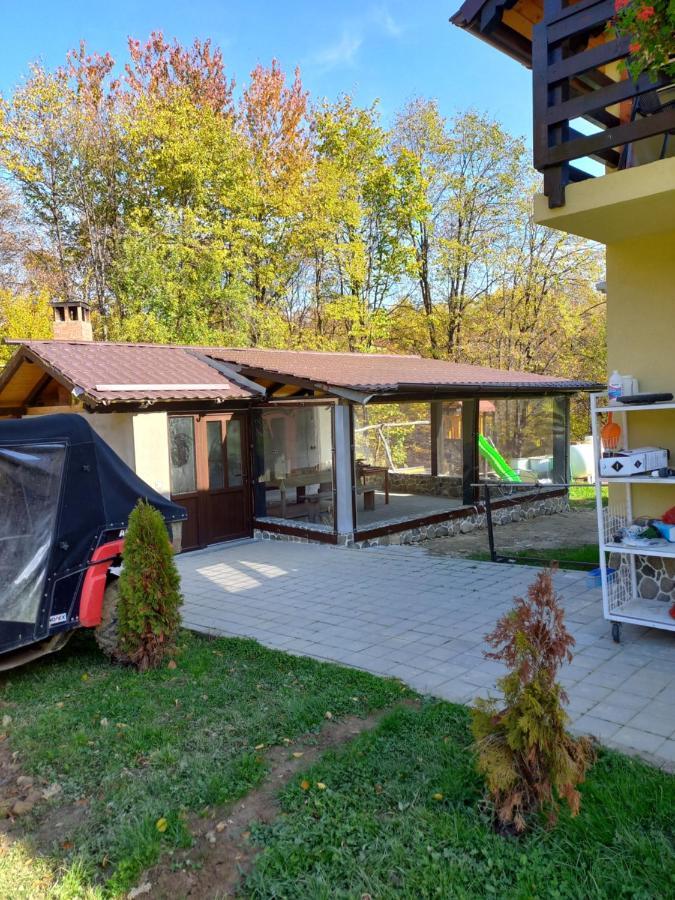Pensiunea Natura Sadu Sibiu Luaran gambar