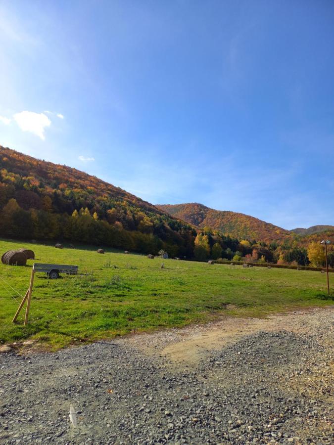 Pensiunea Natura Sadu Sibiu Luaran gambar