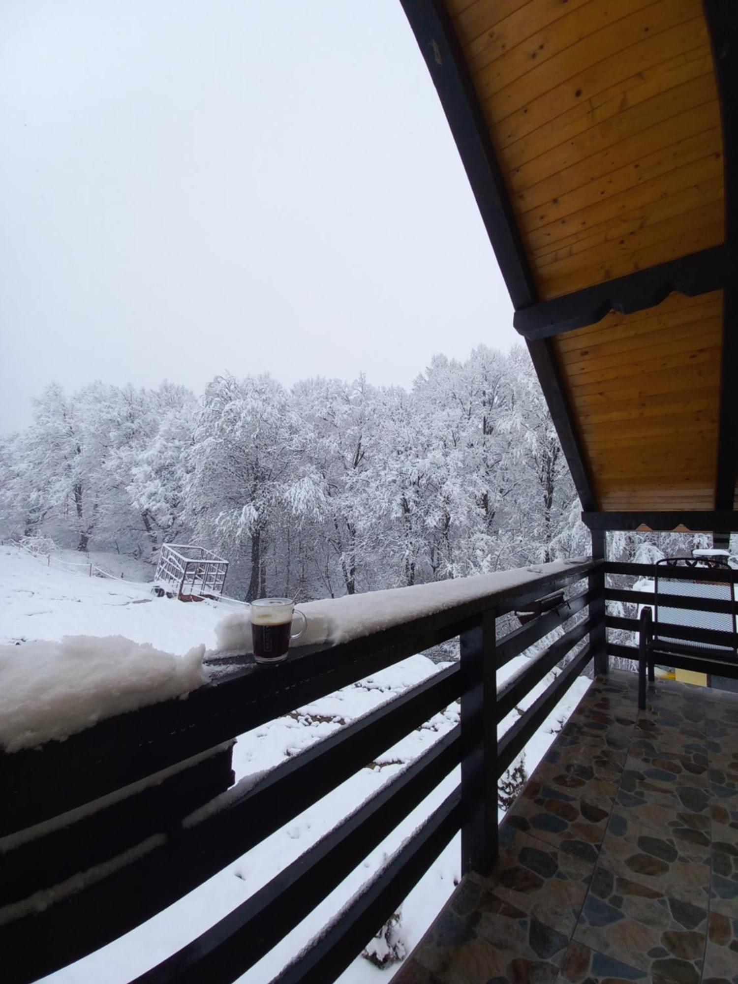Pensiunea Natura Sadu Sibiu Luaran gambar
