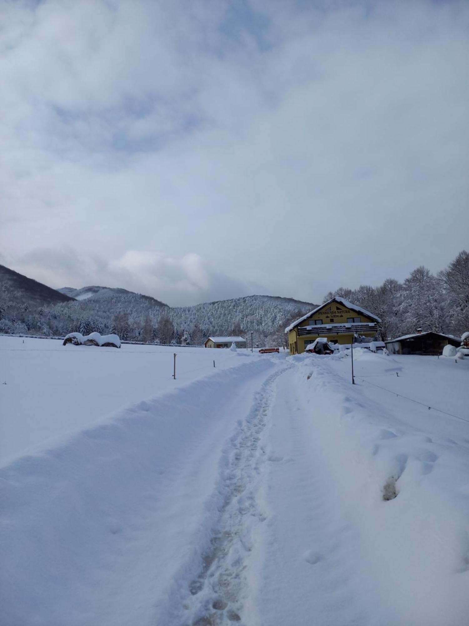 Pensiunea Natura Sadu Sibiu Luaran gambar